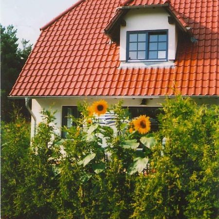 Lindenstr_32B Daire Zingst Dış mekan fotoğraf